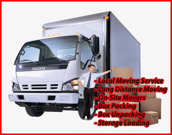 Packers And Movers Noida Sector 48